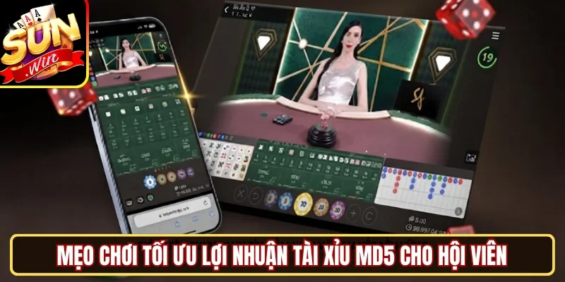  Mẹo chơi tối ưu lợi nhuận Tài Xỉu MD5 cho hội viên